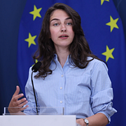 Romina Pourmokhtari (L) höll pressträff om artskydd.
