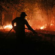 Skogsbrand i Indonesien.