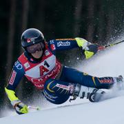 Hector under loppet.