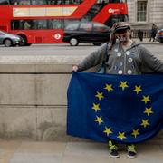 En demonstrant för EU-medlemskap håller en EU-flagga nära Downing Street i London.