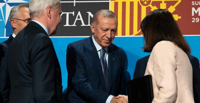 Utrikesminister Ann Linde skakar hand med Turkiets president Erdogan. Henrik Montgomery/TT