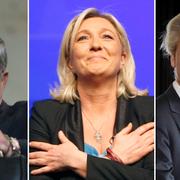 Nikolaos Michaloliakos, Marine Le Pen, Geert Wilders