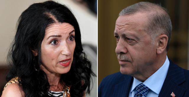 Den politiska vilden Amineh Kakabaveh och Turkiets president Erdogan. TT
