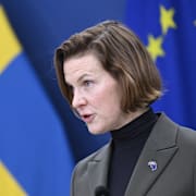 Jämställdhetsminister Nina Larsson (L).