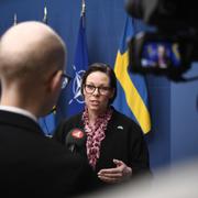 Utrikesminister Maria Malmer Stenergard (M), under en pressträff.