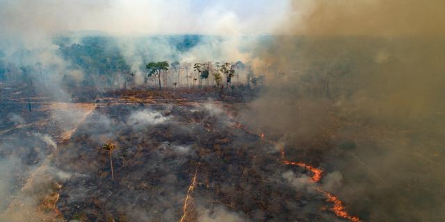 Regnskogen skövlas genom anlagda bränder. Novo Progresso, augusti 2020.  Andre Penner / AP