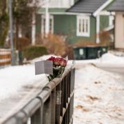 En 16-årig pojke avled natten mot söndagen efter att ha skadats med ett vasst föremål i centrala Örkelljunga. 