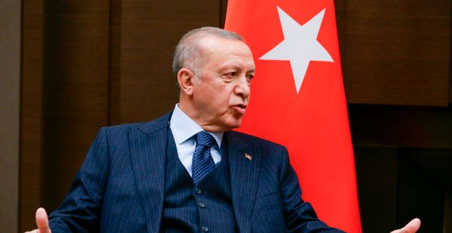 Recep Tayyip Erdogan har gradvis konsoliderat sin position sedan han för första gången tog över makten i Turkiet för snart 20 år sedan. Nu sitter han på nyckeln till Sveriges och Finlands Natomedlemskap. Vladimir Smirnov / AP