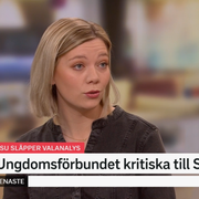 Lisa Nåbo i SVT.