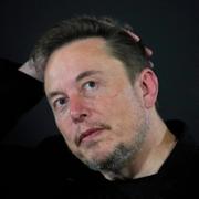 Musk. Arkivbild.