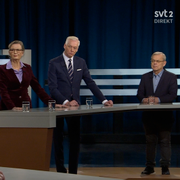 Katarina Engberg, Joakim Paasikivi och Bert Sundström i SVT:s Agenda.