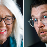 Ulrika Knutson/Jimmie Åkesson.