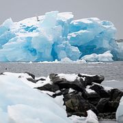 Isberg i fjorden utanför Nuuk på Grönland.