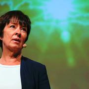 Mona Sahlin.