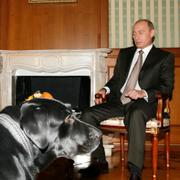 Tysklands förbundskansler Angela Merkel och Rysslands president Vladimir Putin under ett möte 2007. I förgrunden syns Putins hund Cony.