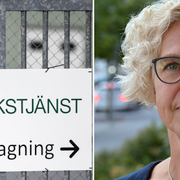 Lena Björk, chef för tillsynen på Läkemedelsverket.