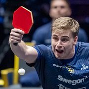 Truls Möregårdh.