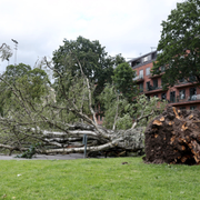 Bilder på ovädret.