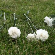 Blommor utanför flygplatsen. 