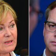 Anitra Steen/Mikael Damberg