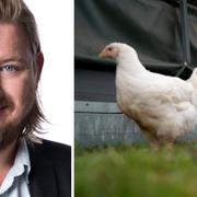 Fredrik Virtanen och ekokyckling.