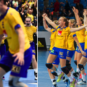 Herrlandslaget i handboll/damlandslaget i handboll