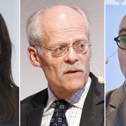 Arkivbilder: Anna Öster, Stefan Ingves, John Hassler.