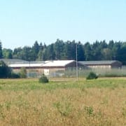 Arkivbild på anstalten Rosersberg och ett gosedjur.