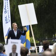 William Hahne, vice partiledare för Alternativ för Sverige. Arkivbild.