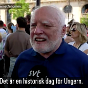 Skärmdump.