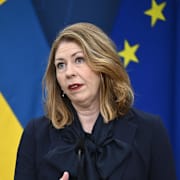 Sjukvårdsminister Elisabet Lann (KD).