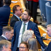 Jimmie Åkesson i riksdagen, arkivbild från 2025.