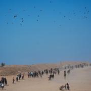 Palestinier gick mot Gaza stad under fredagen.