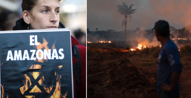Bränderna i Amazonas syntes på plakat under fredagens globala klimatdemonstrationer/arkivbild, bränderna i slutet av augusti. TT