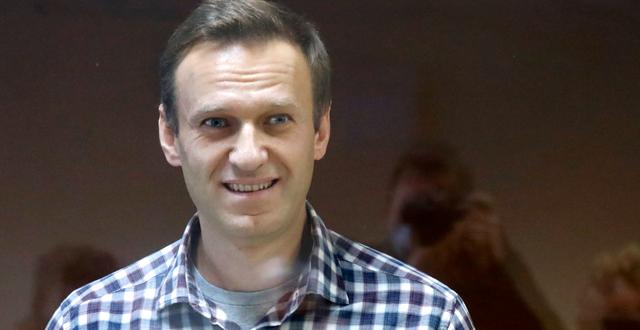Aleksej Navalnyj i rätten på lördagen. Alexander Zemlianichenko / TT NYHETSBYRÅN