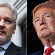 Assange (t v), Trump (t h).