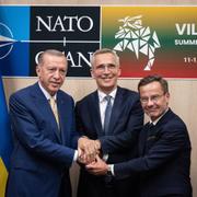 Erdogan, Stoltenberg och Kristersson.