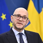 Arbetsmarknadsminister Johan Britz (L).