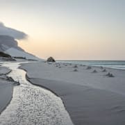 Arkivbild från Socotra.