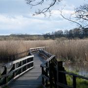 Naturreservatet Hjälstaviken i Enköpings kommun. 