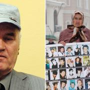 Ratko Mladic (arkivbild från 2011)/Överlevare från massakern i Srebrenica håller upp bilder av offren (arkivbild från 2012)