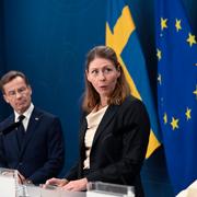 Sjukvårdsminister Elisabet Lann.