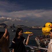 Konstinstallationen i Hongkong. Louise Delmotte / AP