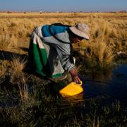 Martha Mamani hämtar vatten från en naturlig källa i El Alto i Bolivia.