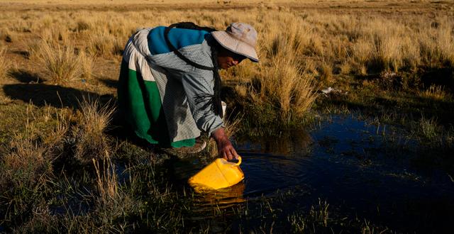 Martha Mamani hämtar vatten från en naturlig källa i El Alto i Bolivia. Juan Karita / AP