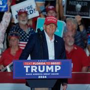 Chanserna att Donald Trump vinner presidentvalet i USA i november oroar de flesta av landets allierade. 