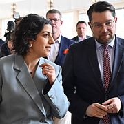 Mohamsson och Åkesson.