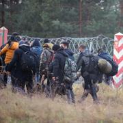 Migranter vid polska gränsen. 