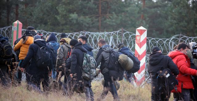 Migranter vid polska gränsen.  Leonid Shcheglov / TT NYHETSBYRÅN
