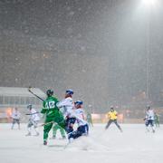 Bajen på Zinkensdamm 2016. 